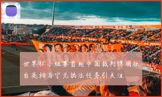世界杯小组赛首轮中国裁判傅明独自亮相马宁无执法任务引关注