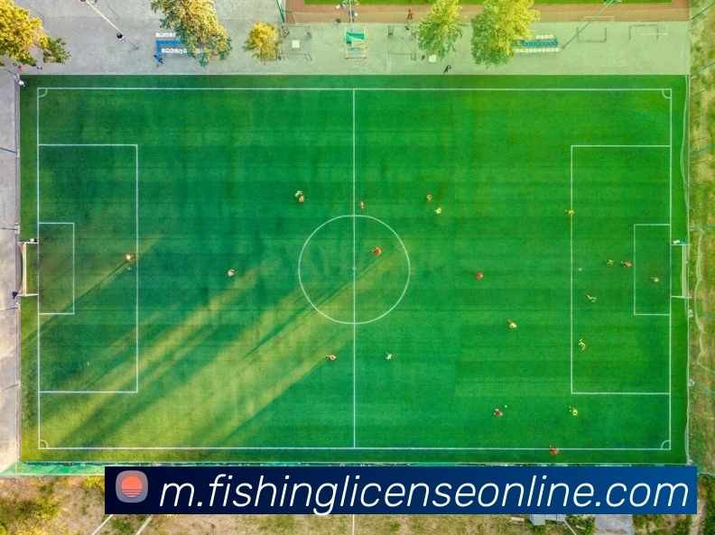 APP界面展示
